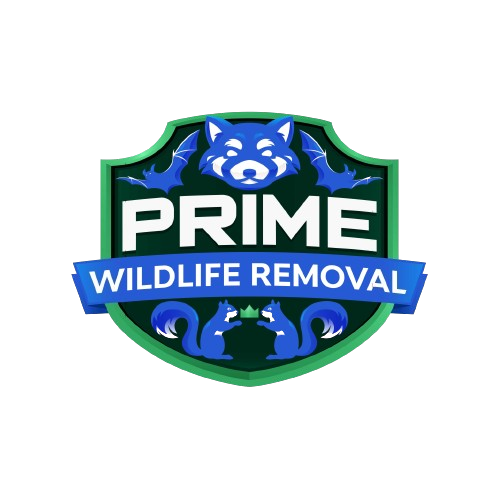 Animal Removal St Louis